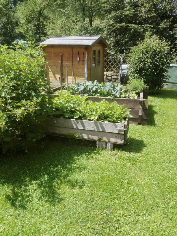 La Vecchia Mesnerhaus Βίλα Pusterwald Εξωτερικό φωτογραφία